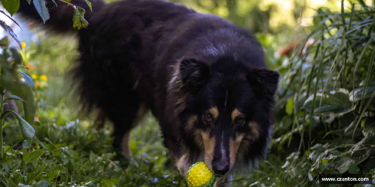 解读伟德国际唯一官网入口
